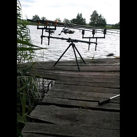 Moderne Fewo Seeidyll Mit Boot Und Sommerpool Demen